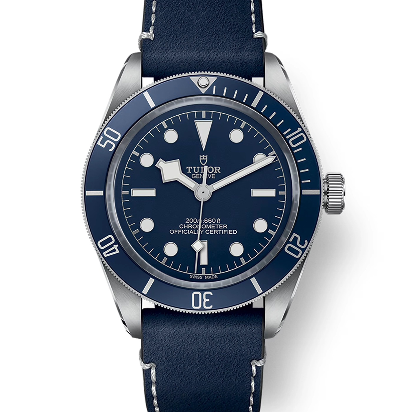 Tudor Black Bay